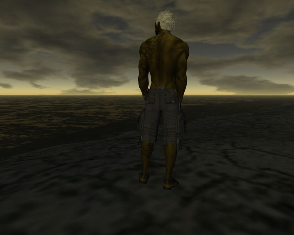 Argent in Second Life